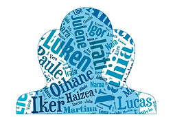 logo urdinduz v5.jpg